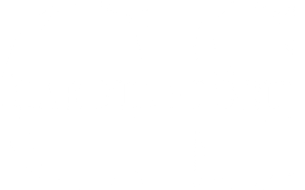 Use Garota Store